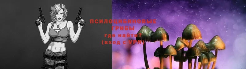 Псилоцибиновые грибы Magic Shrooms  Бронницы 